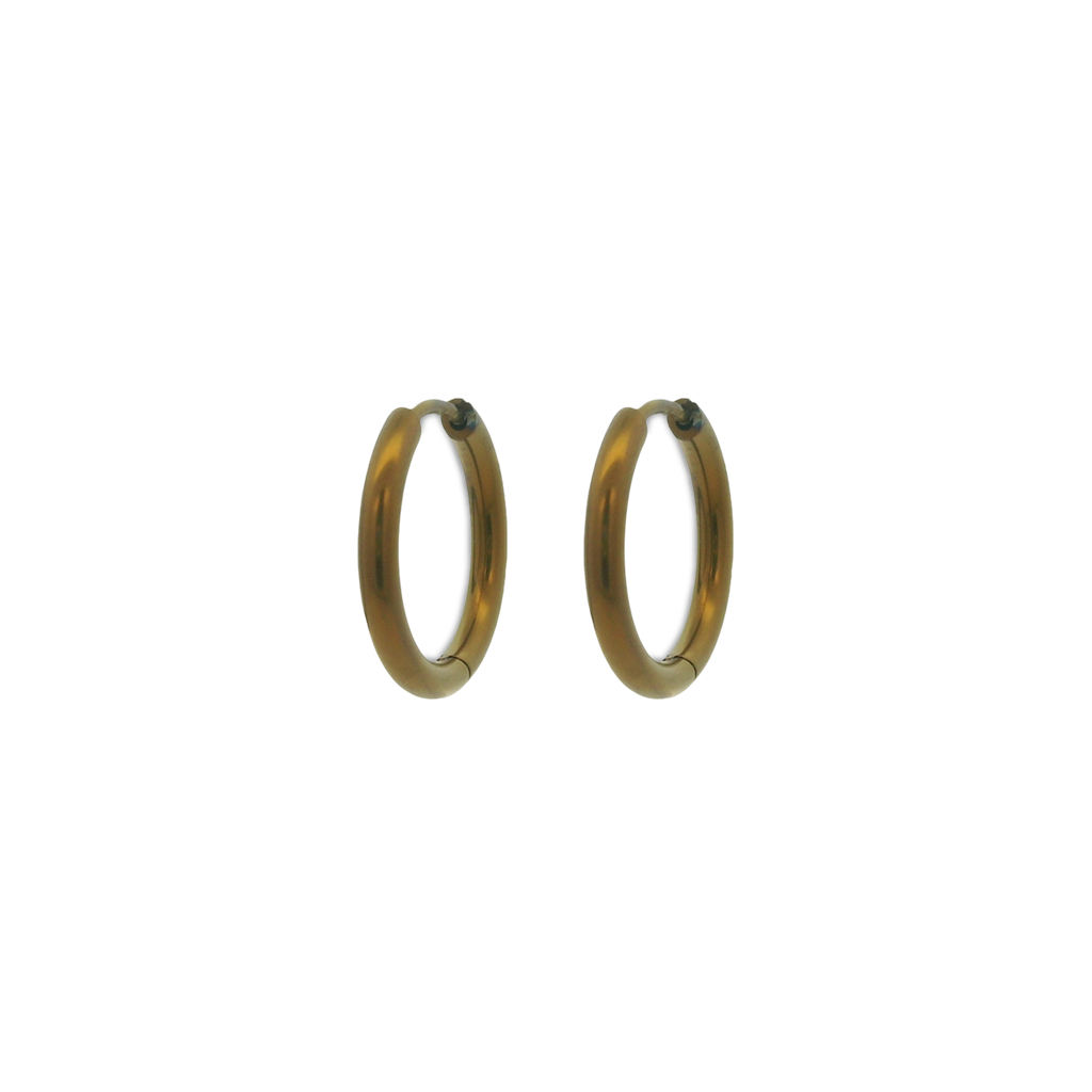 Medium Round Hinged Hoops