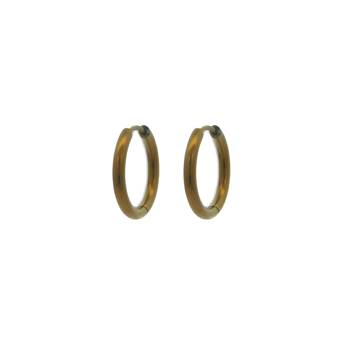 Medium Round Hinged Hoops
