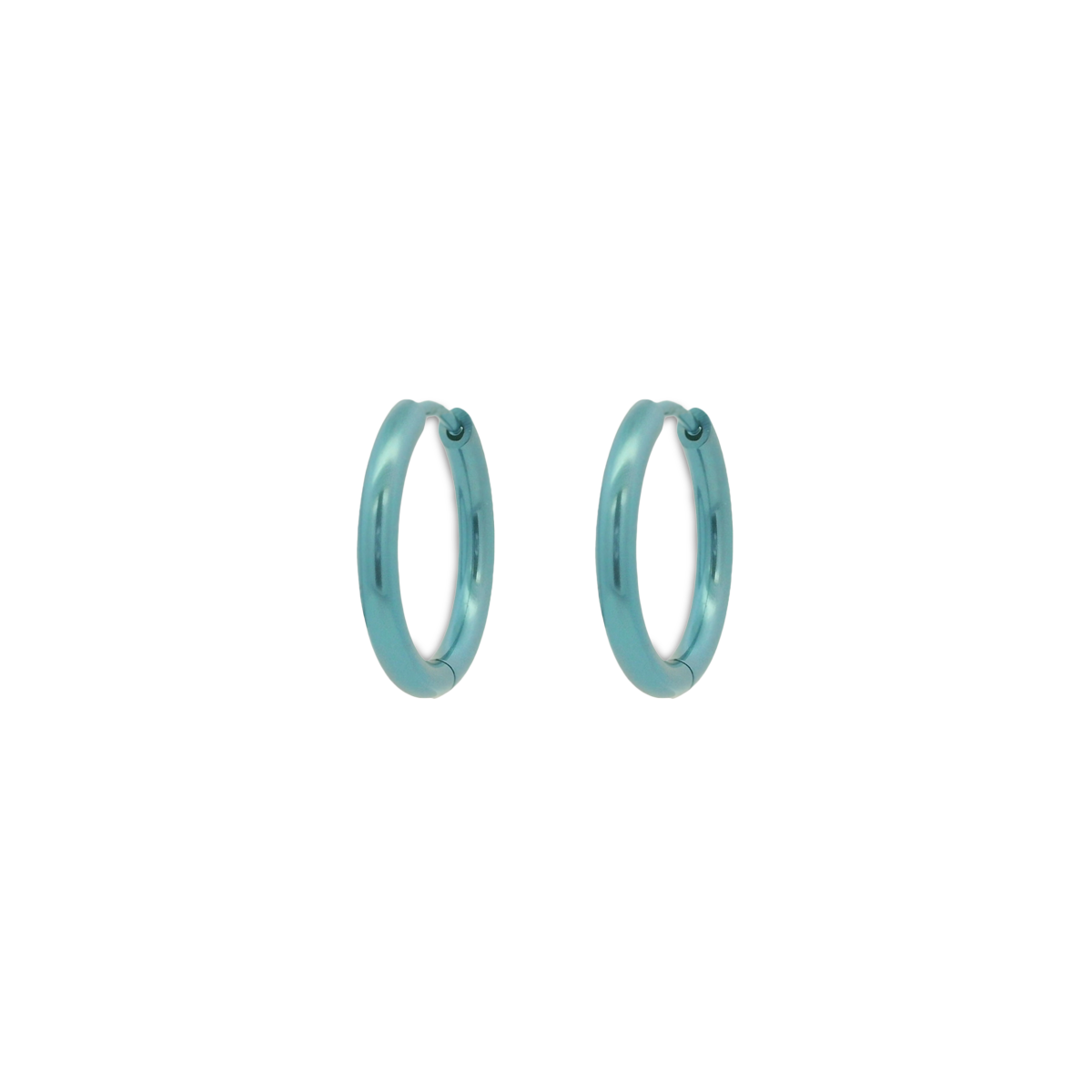 Medium Round Hinged Hoops