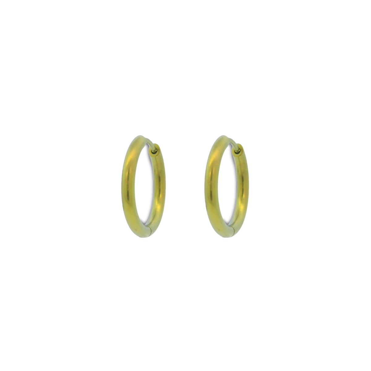 Medium Round Hinged Hoops