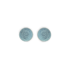 Small Ammonite Stud Earrings