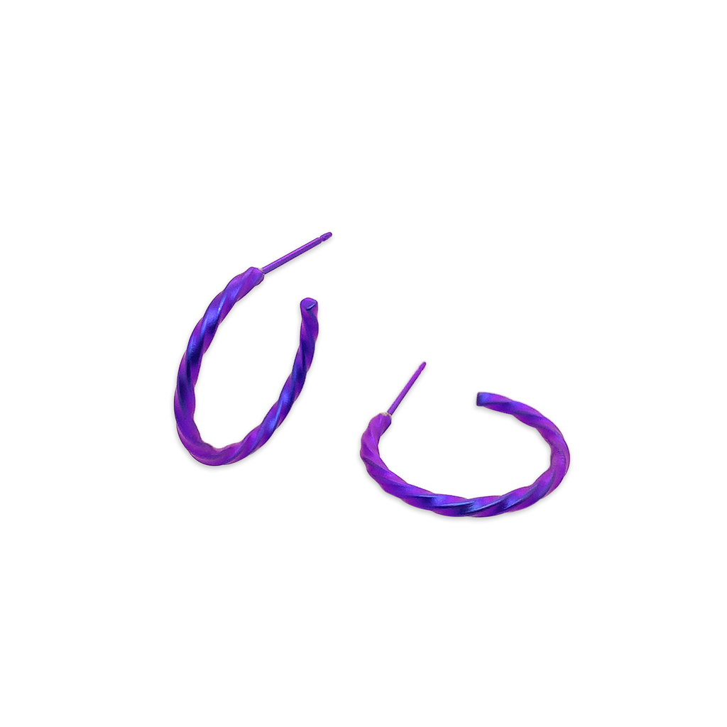 Small 2mm Twisted Hoops