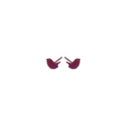 Wren Titanium Studs