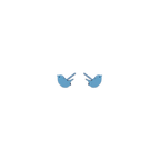 Wren Titanium Studs